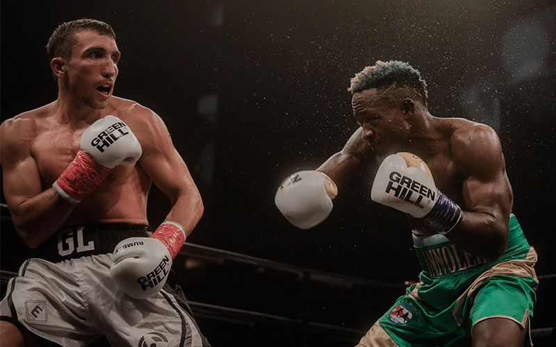 The Art and Science of Boxing,  A Timeless Combat Sport