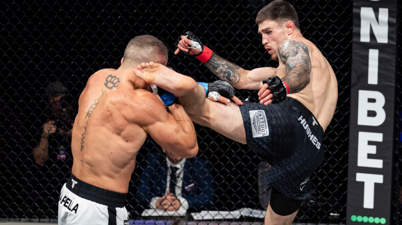 Mixed Martial Arts (MMA),The Ultimate Combat Sport